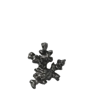 Comber Coral Branch Hook in blackened aluminium with a branching, textured form