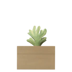 Harbour Box in mistletoe/tan with a carved coral-shaped handle