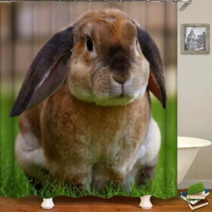Cute Animals Bathroom Decor the Lop Rabbit Shower Curtain