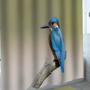 Turquoise Blue Woodpecker Bird Shower Curtains
