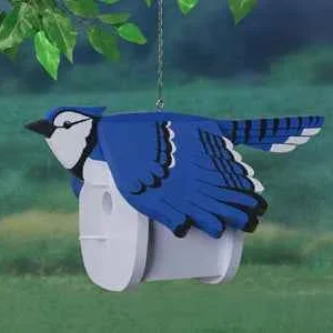 Bluejay Birdhouse Wood Project Pattern