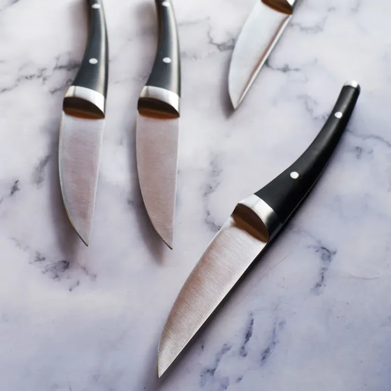Cuchillo de mesa para la carne Dolphin de Bra-