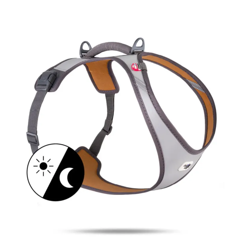 Curli Belka Geschirr Glow Gray – Sicher & Stylish für deinen Hund
