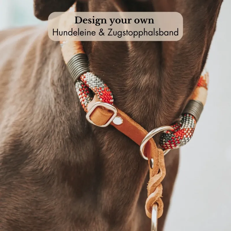 Zugstopp-Halsband & Tauleine selbst gestalten aus Fettleder, robust und in Größen mit Verstellbereich, individuell auf Anfrage – Pawsome Hundezubehör aus der Wiener Manufaktur