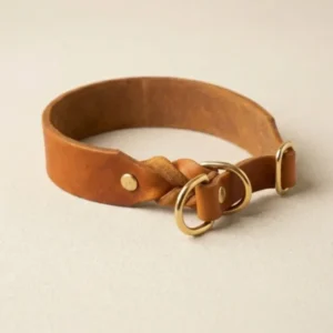 Zugstopp-Halsband aus Fettleder in Cognac nach Maß, robust und individuell handgefertigt – Pawsome Hundezubehör aus der Wiener Manufaktur