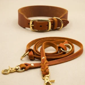 Set Lederhalsband & Leine in Cognac aus Fettleder, robust und in Größen mit Verstellbereich, individuell auf Anfrage – Pawsome Hundezubehör aus der Wiener Manufaktur