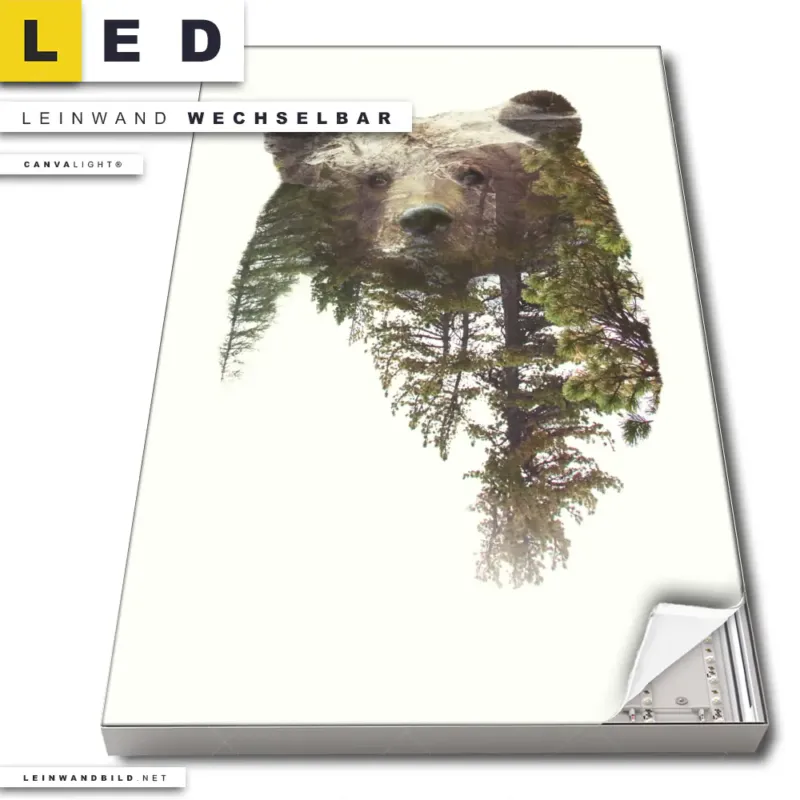 Led Leinwandbild Baer Wald No 1 Hochformat Produktvorschau
