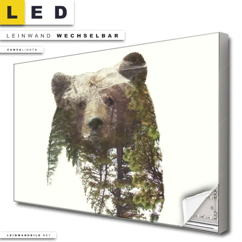 Led Leinwandbild Baer Wald No 1 Querformat Produktvorschau