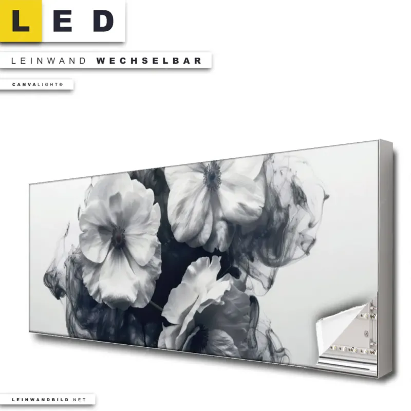 Led Leinwandbild Blumen Im Schwarzen Farbnebel Panorama Produktvorschau