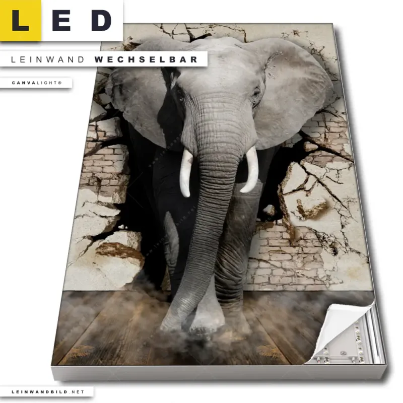 Led Leinwandbild Elefant Bricht Durch Mauer Hochformat Produktvorschau