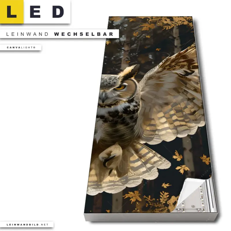Led Leinwandbild Eule Inmitten Goldener Blaetter Schmal Produktvorschau