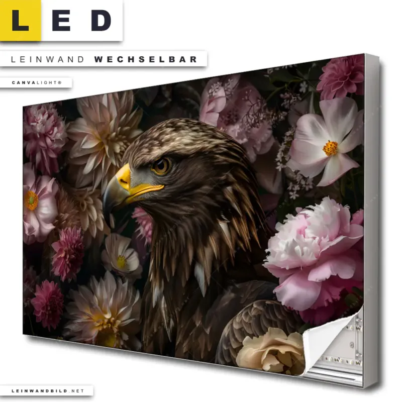 Led Leinwandbild Florale Eleganz Und Adlerblick Querformat Produktvorschau