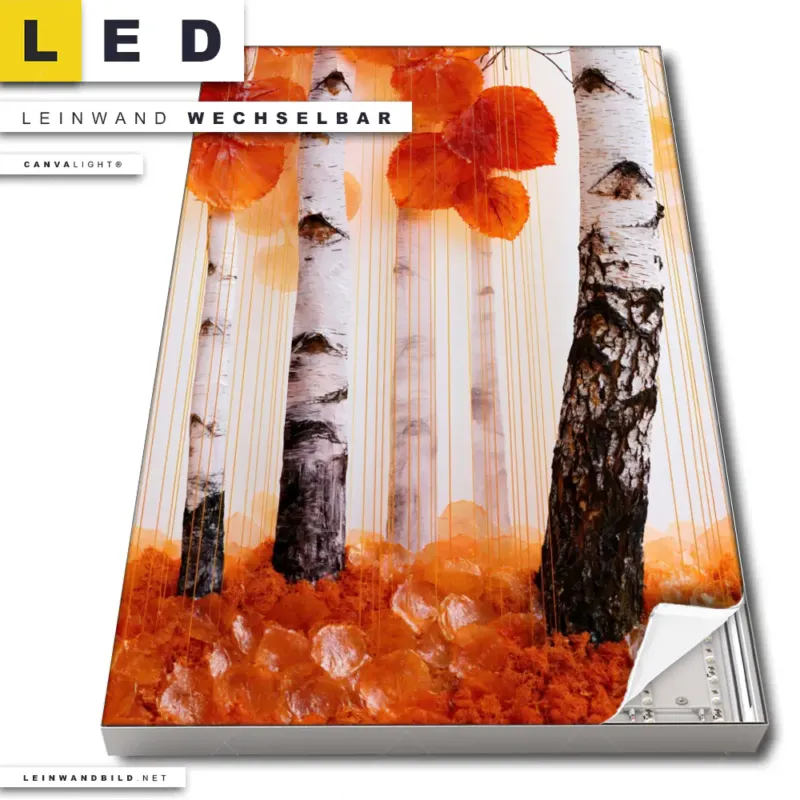 Led Leinwandbild Herbstlicht Hochformat Produktvorschau