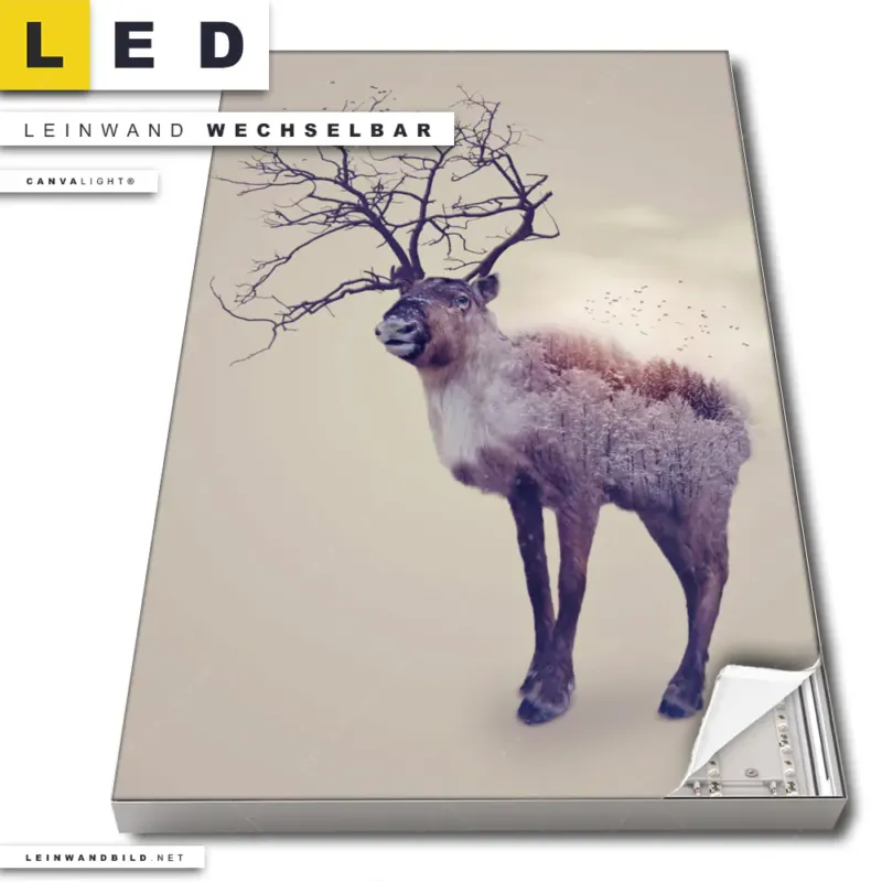 Led Leinwandbild Hirsch Wald No 1 Hochformat Produktvorschau