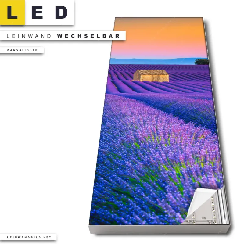 Led Leinwandbild Lavendel Blumen Feld Schmal Produktvorschau
