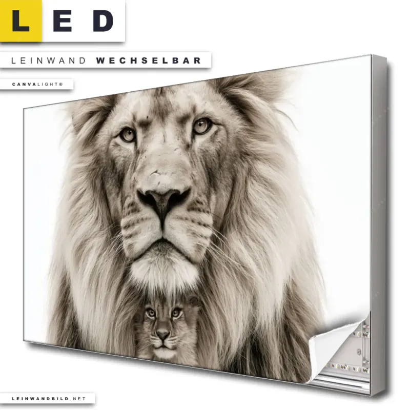 Led Leinwandbild Loewenstolz Vater Und Junges Querformat Produktvorschau