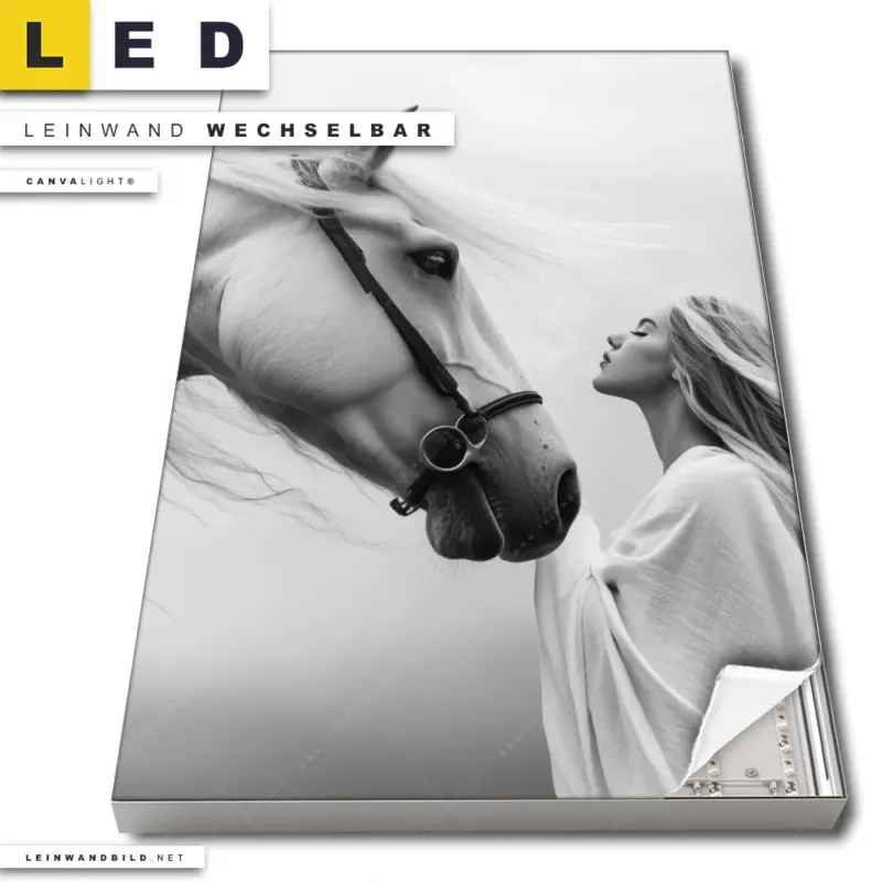Led Leinwandbild Pferd Wildnis Liebe Hochformat Produktvorschau