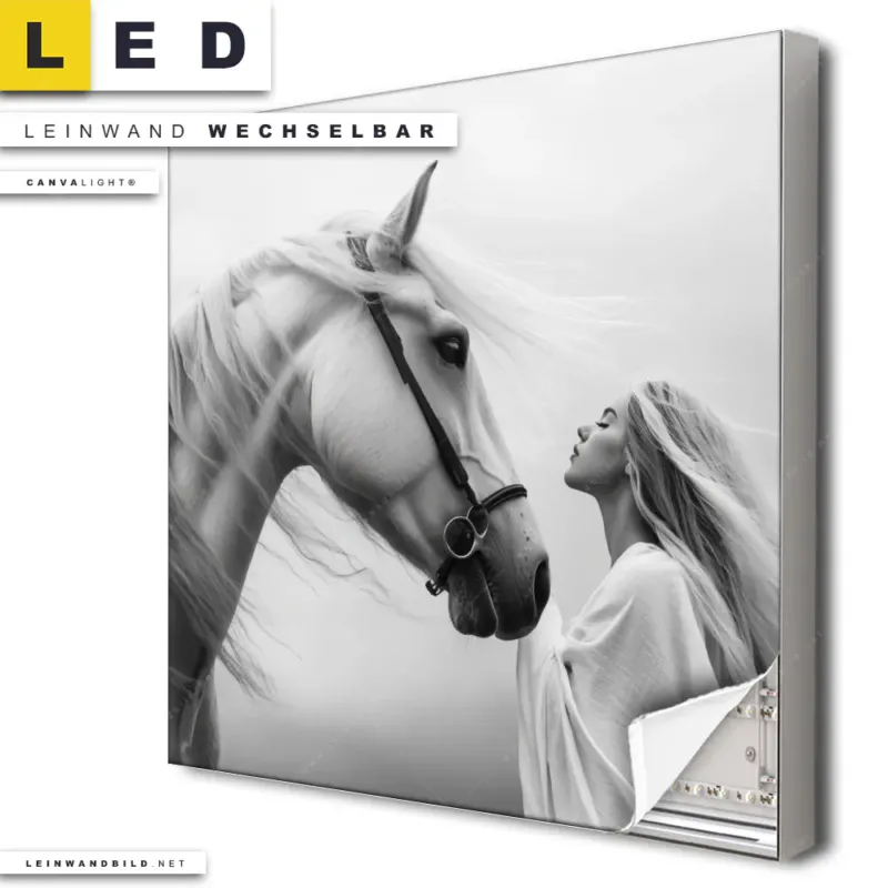 Led Leinwandbild Pferd Wildnis Liebe Quadrat Produktvorschau