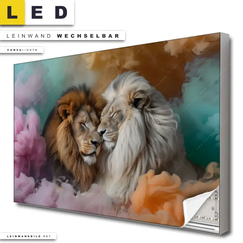 Led Leinwandbild Sanfte Loewenmomente In Buntem Nebel Querformat Produktvorschau