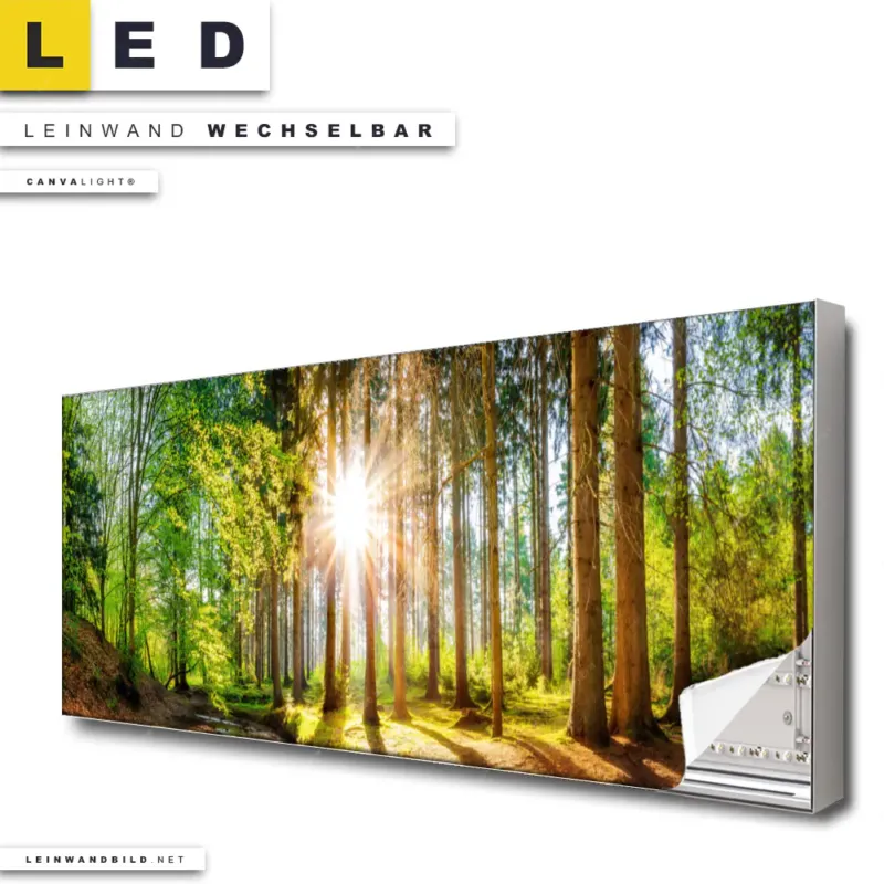Led Leinwandbild Sonniger Wald Panorama Produktvorschau