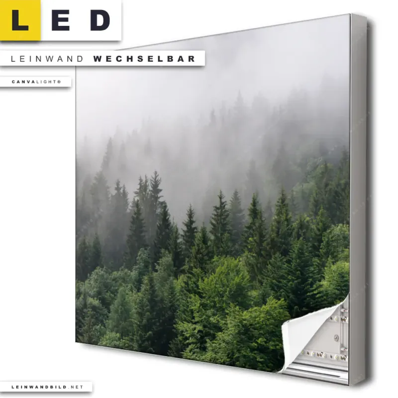 Led Leinwandbild Wald Im Nebel Quadrat Produktvorschau