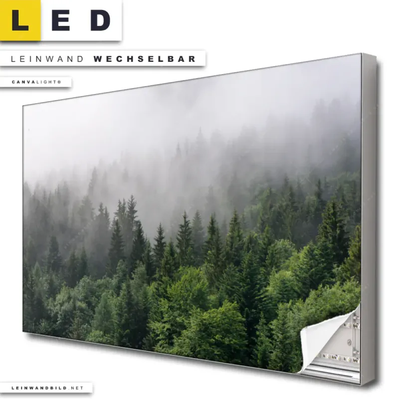 Led Leinwandbild Wald Im Nebel Querformat Produktvorschau