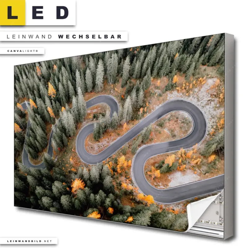 Led Leinwandbild Wald Strasse Von Oben Querformat Produktvorschau