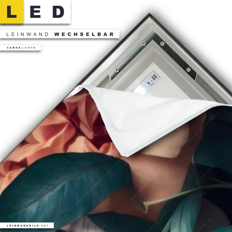 Led Leinwandbild Weisser Tiger Mit Blauen Augen Zwischen Blumen Panorama Materialbild