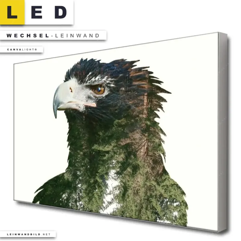 Led Wechsel Leinwand Adler Wald Querformat Produktvorschau