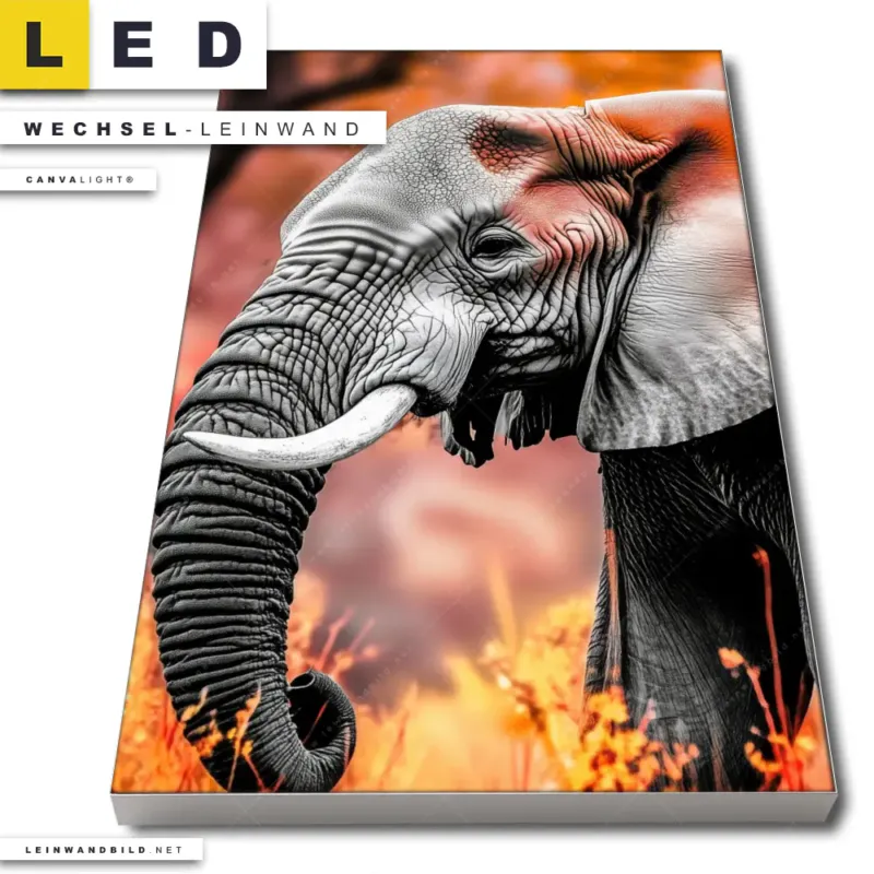 Led Wechsel Leinwand Elefant Savannenzauber In Afrika Hochformat Produktvorschau