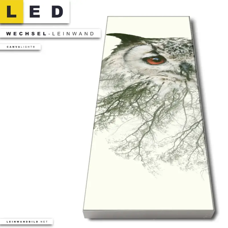 Led Wechsel Leinwand Eule Wald No 1 Schmal Produktvorschau
