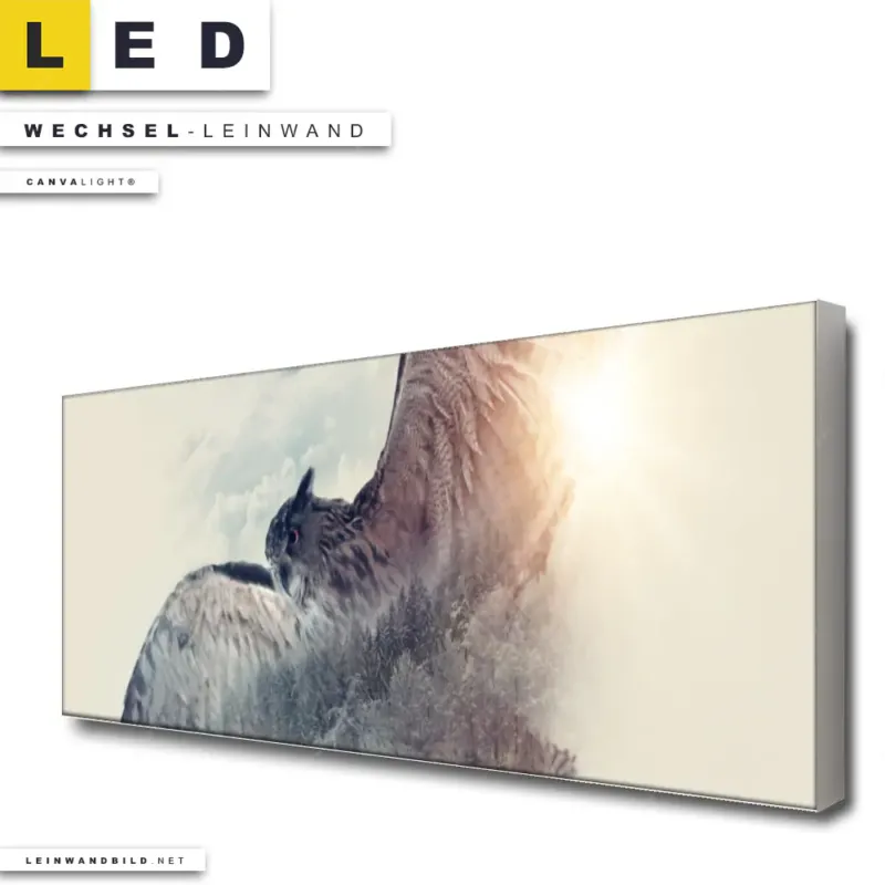 Led Wechsel Leinwand Eule Wald No 2 Panorama Produktvorschau