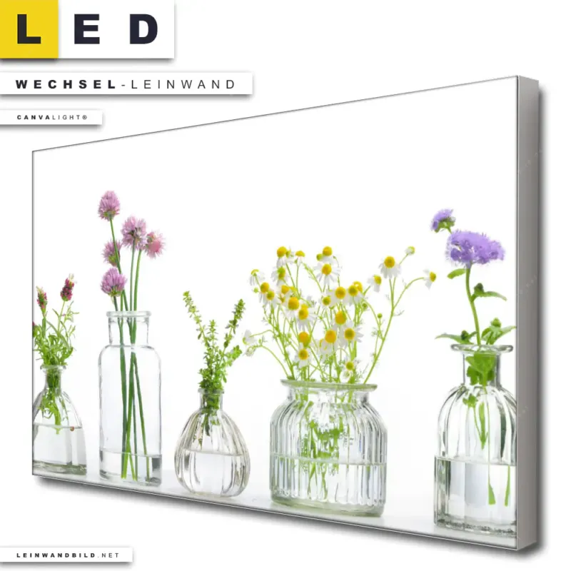 Led Wechsel Leinwand Glasvasen Mit Kraeutern Querformat Produktvorschau