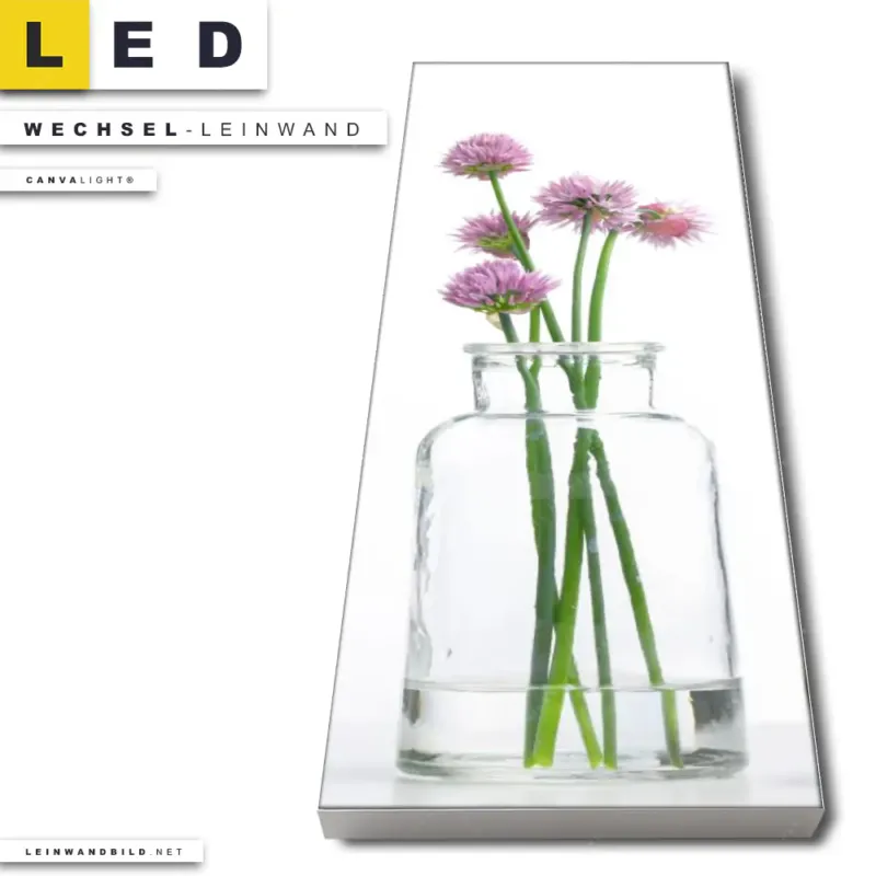 Led Wechsel Leinwand Glasvasen Mit Kraeutern Schmal Produktvorschau