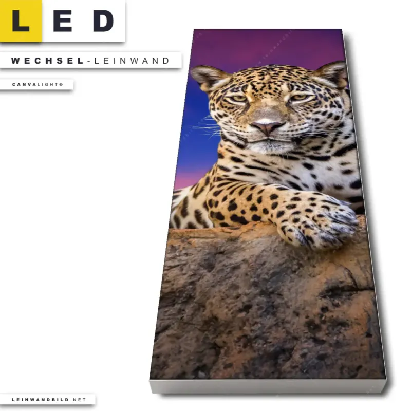 Led Wechsel Leinwand Jaguar Auf Felsen Schmal Produktvorschau
