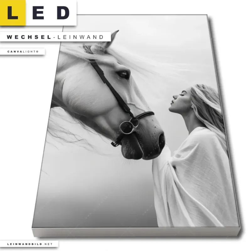 Led Wechsel Leinwand Pferd Wildnis Liebe Hochformat Produktvorschau