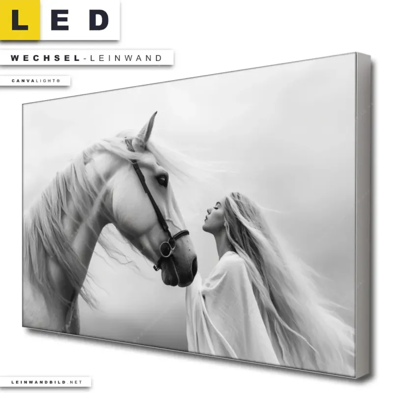 Led Wechsel Leinwand Pferd Wildnis Liebe Querformat Produktvorschau