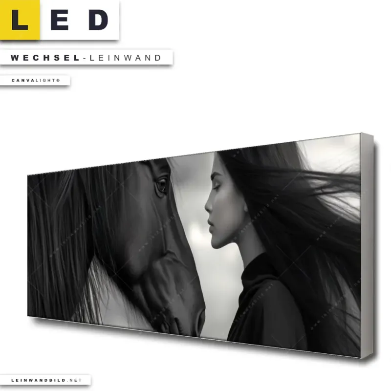 Led Wechsel Leinwand Seelenblick Panorama Produktvorschau