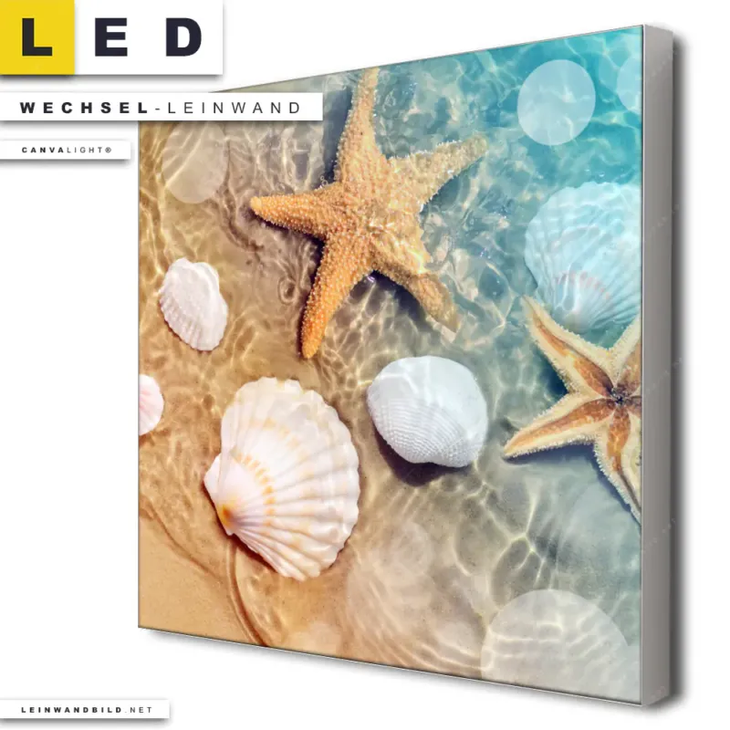 Led Wechsel Leinwand Seesterne Muscheln Quadrat Produktvorschau