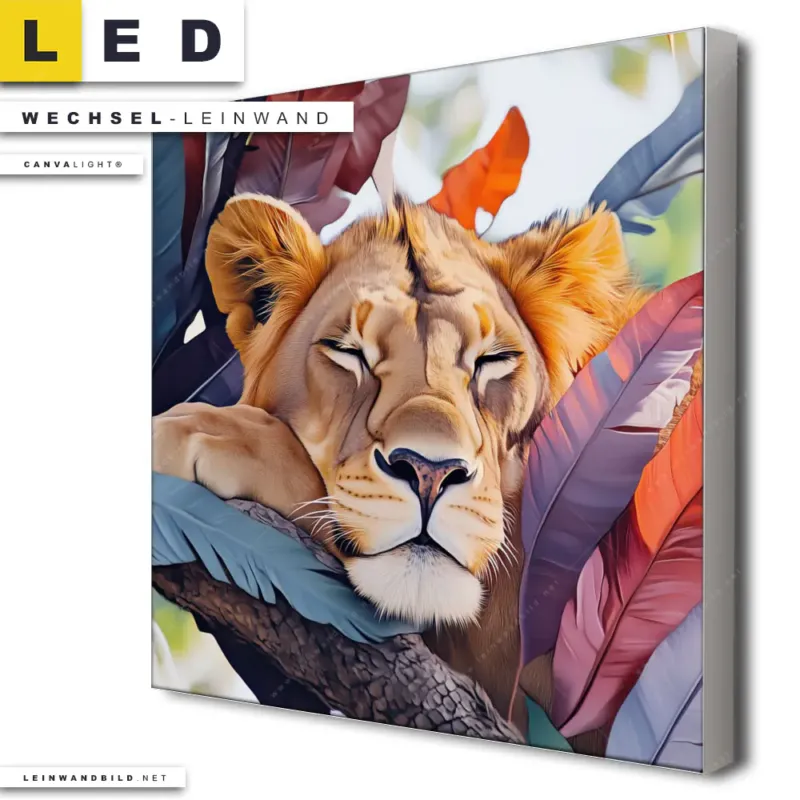 Led Wechsel Leinwand Traeumender Loewe Im Baum Quadrat Produktvorschau