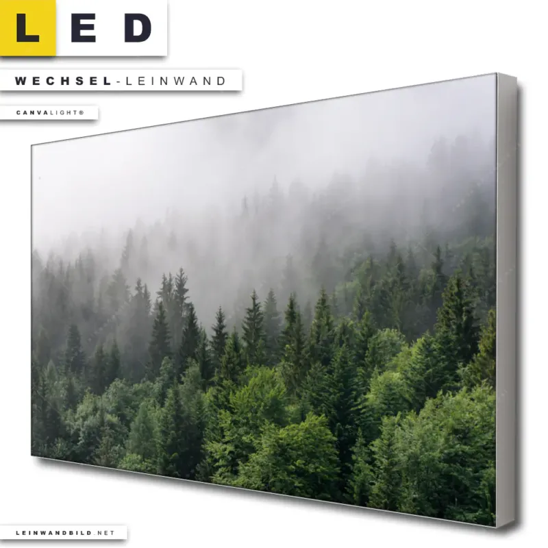 Led Wechsel Leinwand Wald Im Nebel Querformat Produktvorschau