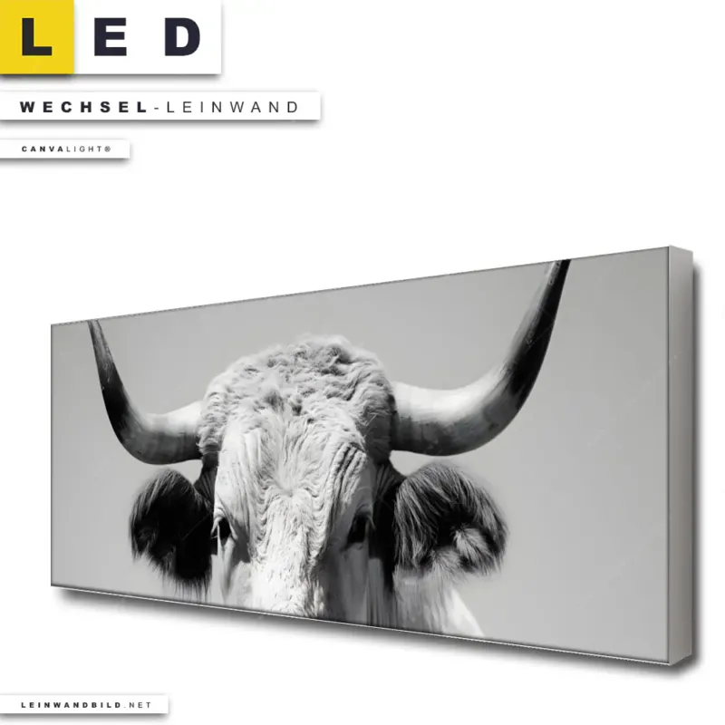 Led Wechsel Leinwand Weisser Bulle Panorama Produktvorschau