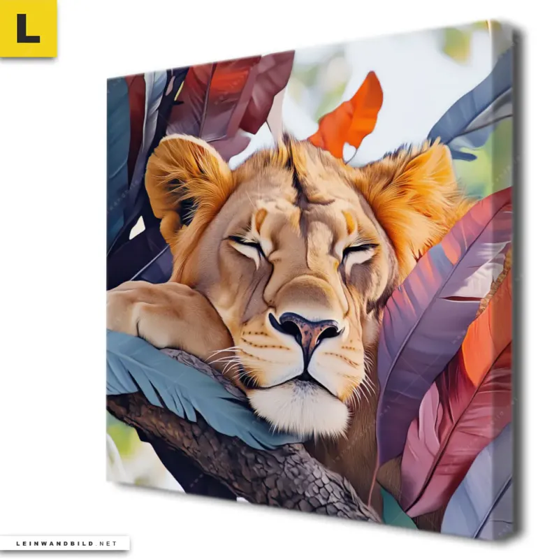 Leinwandbild Traeumender Loewe Im Baum Quadrat Produktvorschau