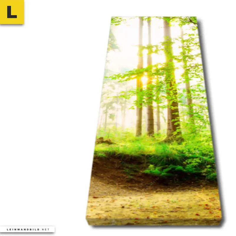 Leinwandbild Waldpanorama Schmal Produktvorschau