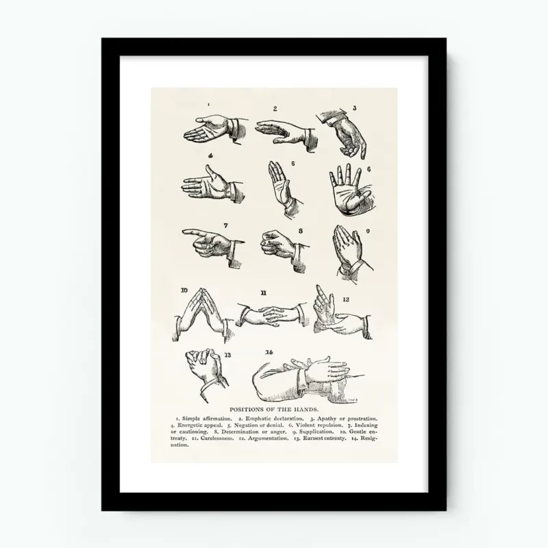 Positions of the Hands Giraffe Poster
