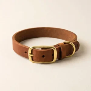 Schmales Lederhalsband in Cognac für kleine Hunde aus butterweichem Fettleder, individuell handgefertigt – Pawsome Hundezubehör aus der Wiener Manufaktur