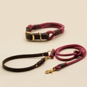 Set Halsband & Leine 'Vino' aus Kletterseil, robust und in Größen mit Verstellbereich, individuell auf Anfrage – Pawsome Hundezubehör aus der Wiener Manufaktur