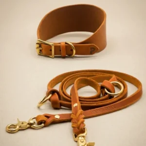 Set Windhundhalsband 5 cm & Lederleine nach Maß aus butterweichem Fettleder, individuell handgefertigt – Pawsome Hundezubehör aus der Wiener Manufaktur